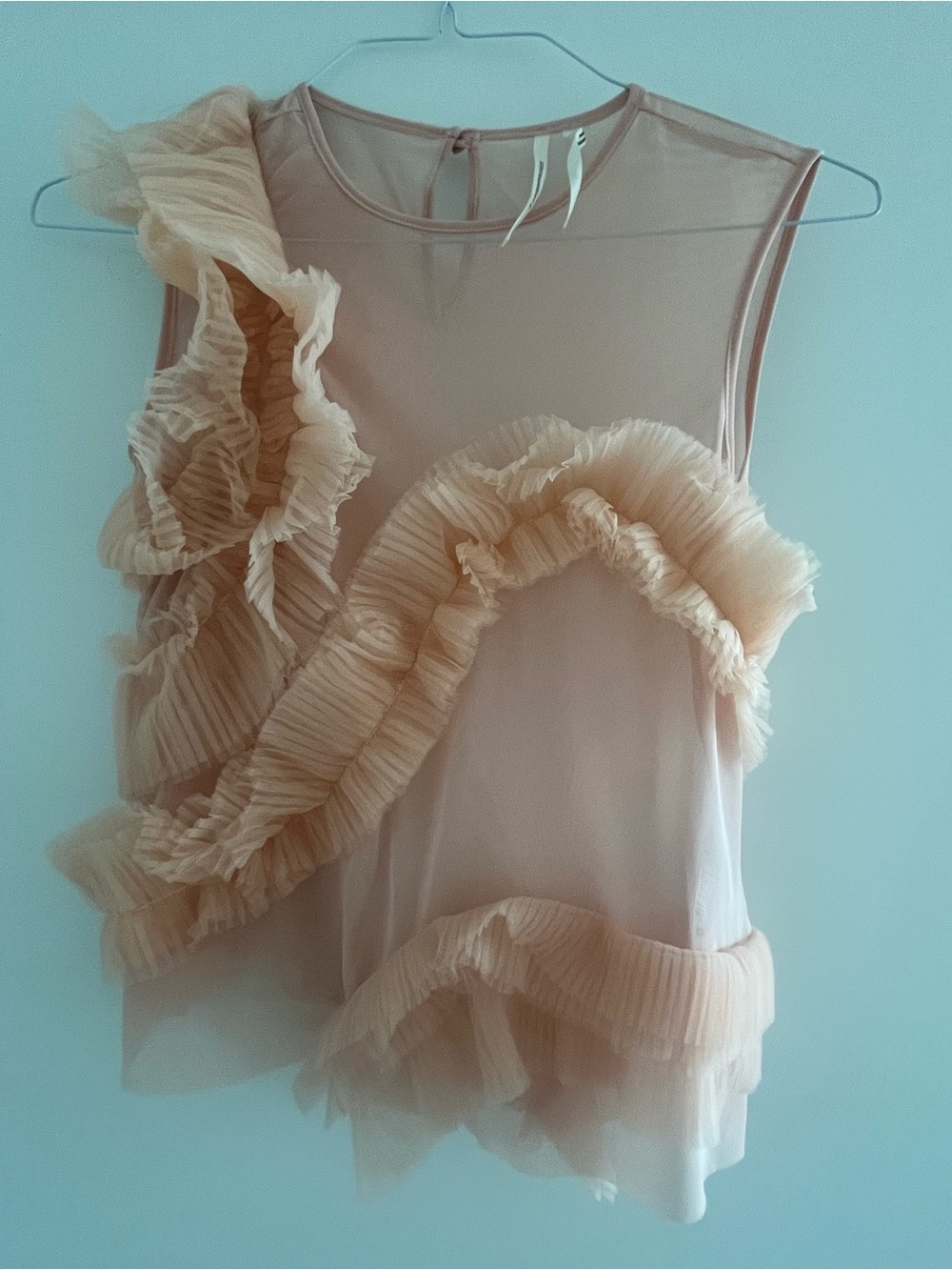 Anthropologie Sheer Ruffle Sleeveless Top in Blush